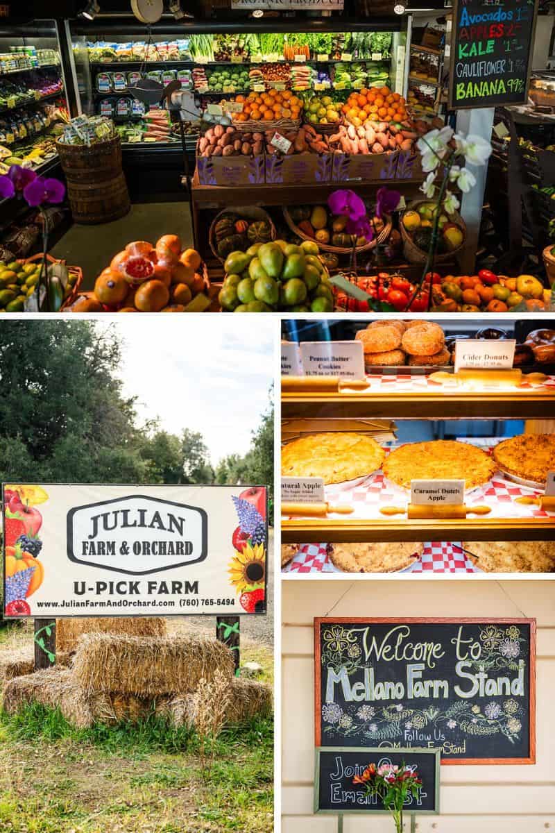 U-Pick Farms, Wineries & More-San Diego County Foodie Destinations