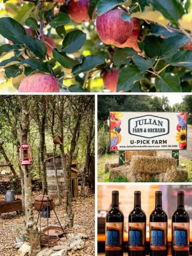 Julian Southern California; The Best Produce Destination