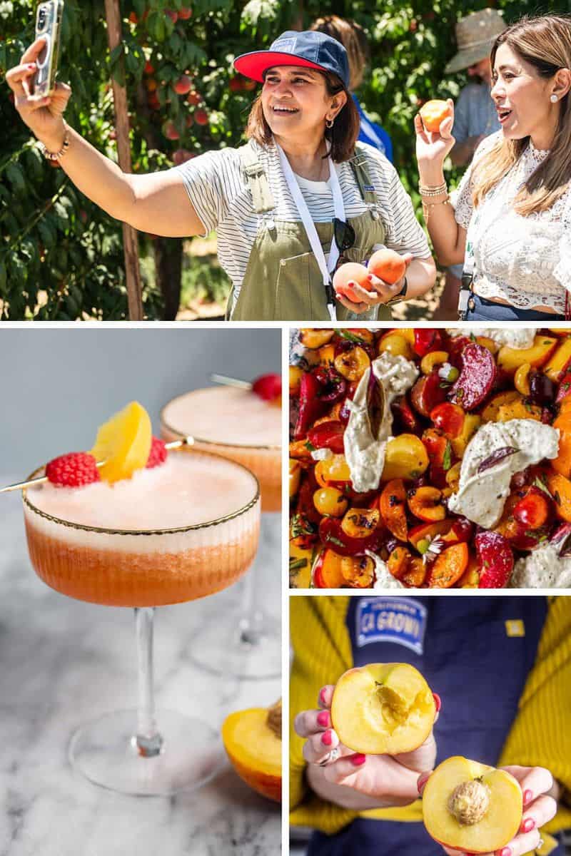 Collage of images for The Best Peach Recipes To Make This Summer