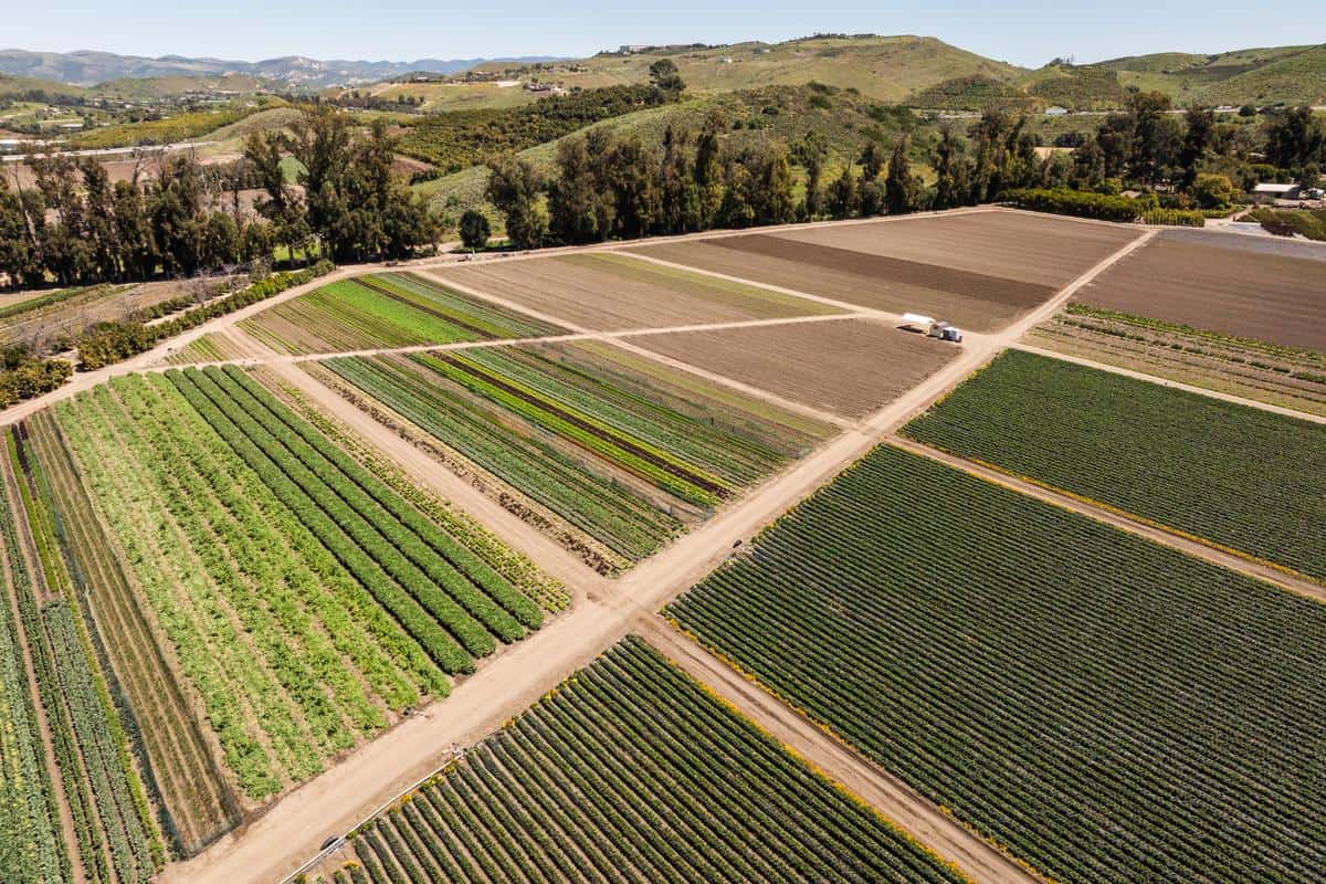 drone shot of crops and fields at underwood family farms
