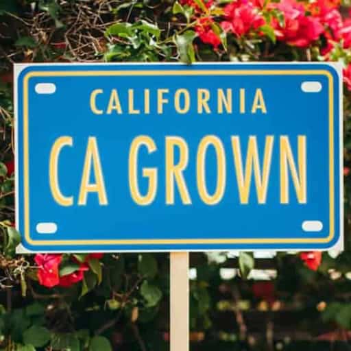 California Grown logo