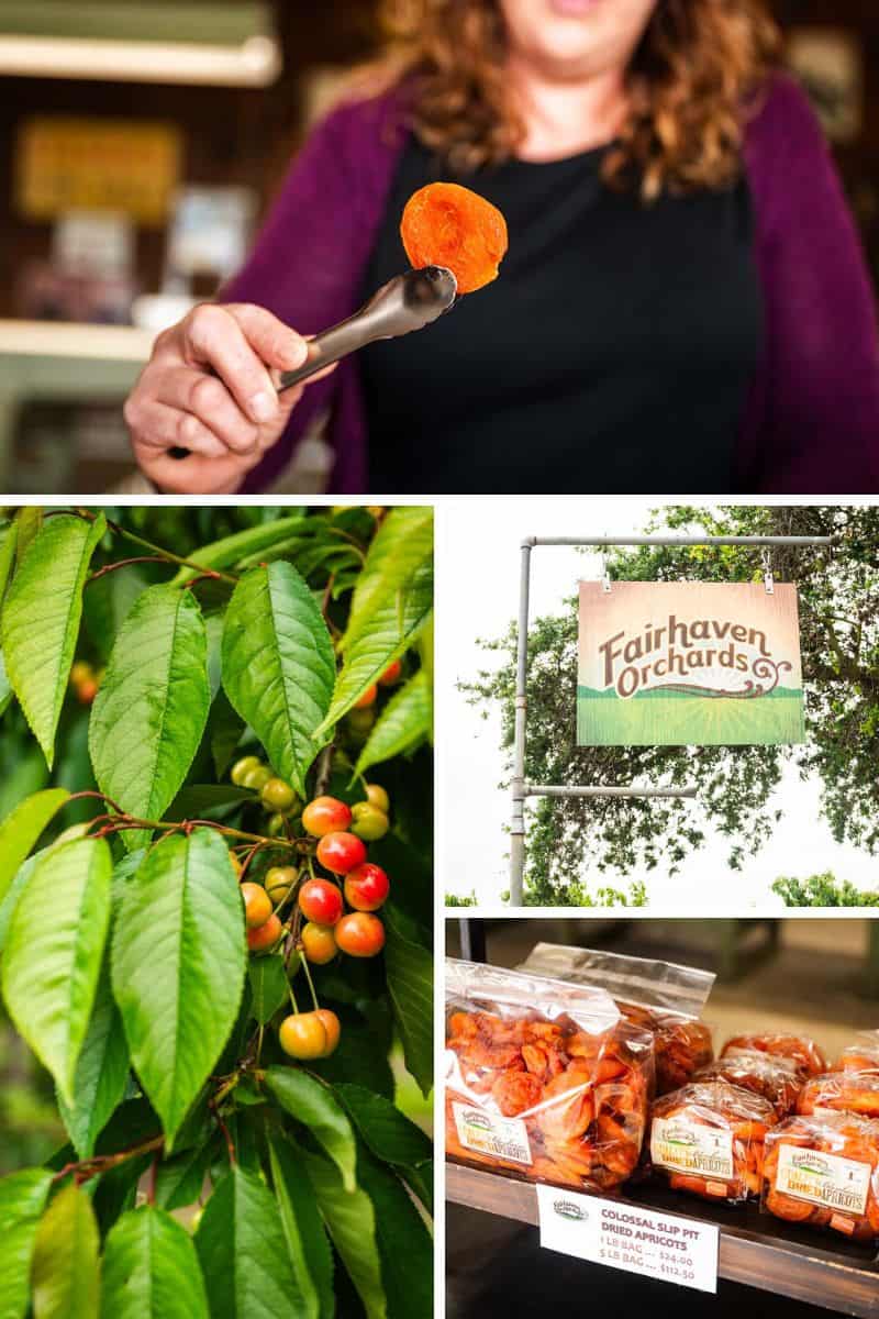 The Best Dried Apricots, Cherries, & Walnuts From Fairhaven Orchards