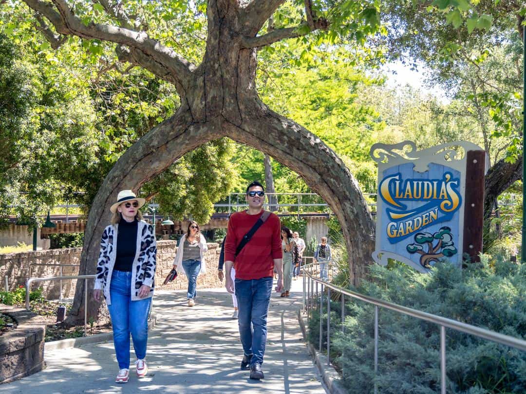 People walking underneath one of the 25 Circus Trees a Gilroy Gardens - an example of ornamental grafting