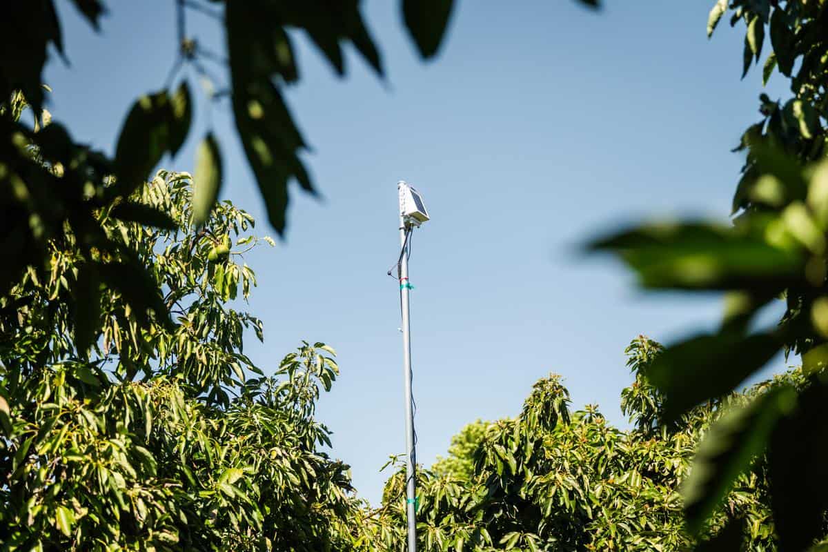 solar powered water sensor at King and King Ranch