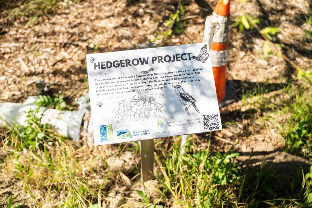 hedgerow project sign at king and king ranch