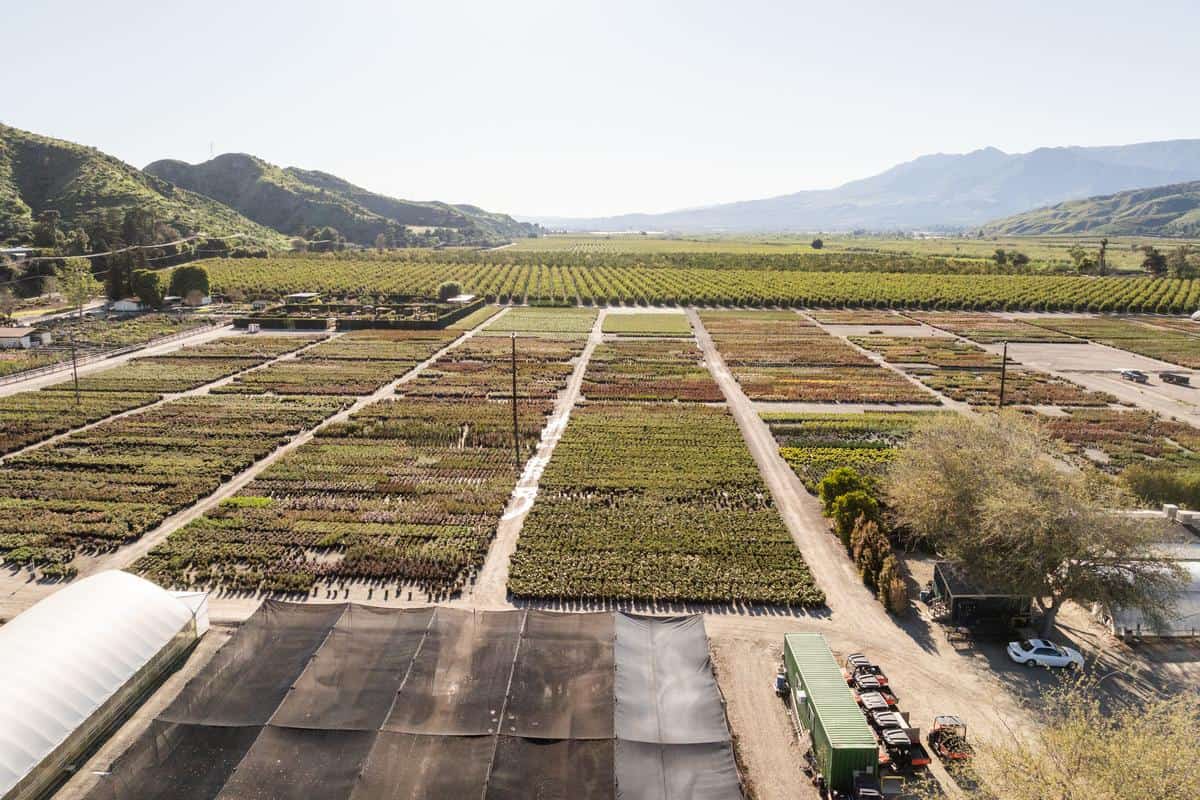 drone shot of all of the plants at otto and sons nursery