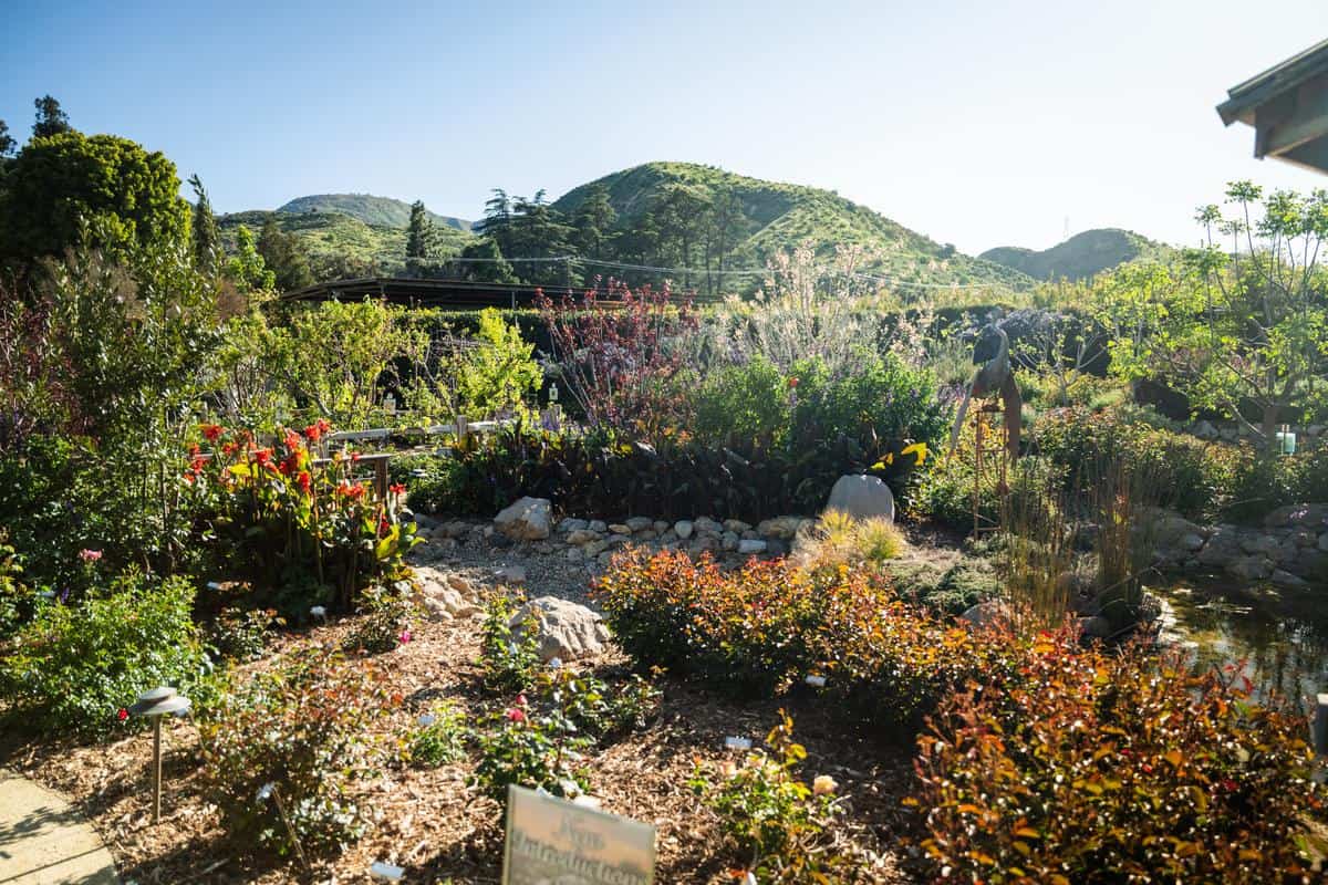 demonstration landscape garden at otto and sons