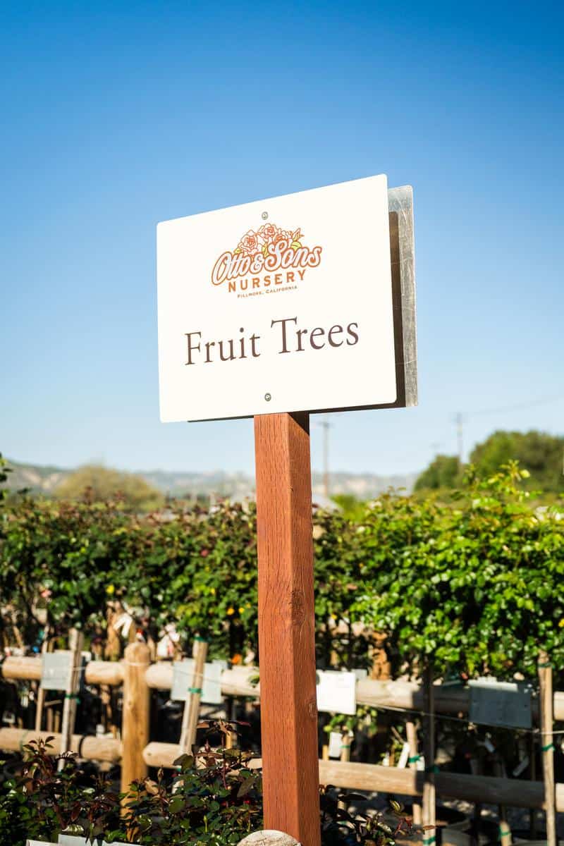 sign advertising fruit trees for sale at otto and sons