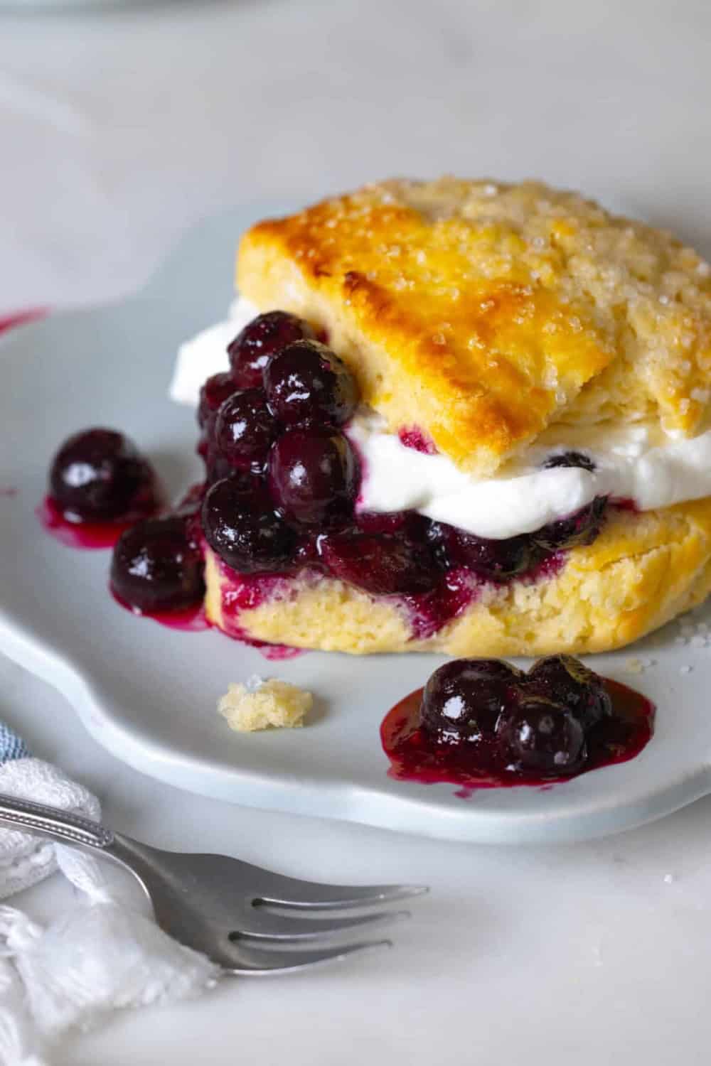 roasted blueberry shortcakes with whipped  cream
