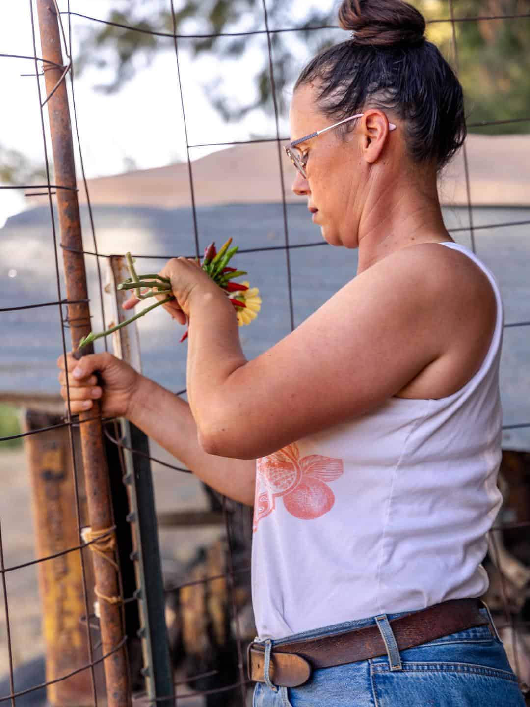 Ali main closing the deer fence at Good Humus