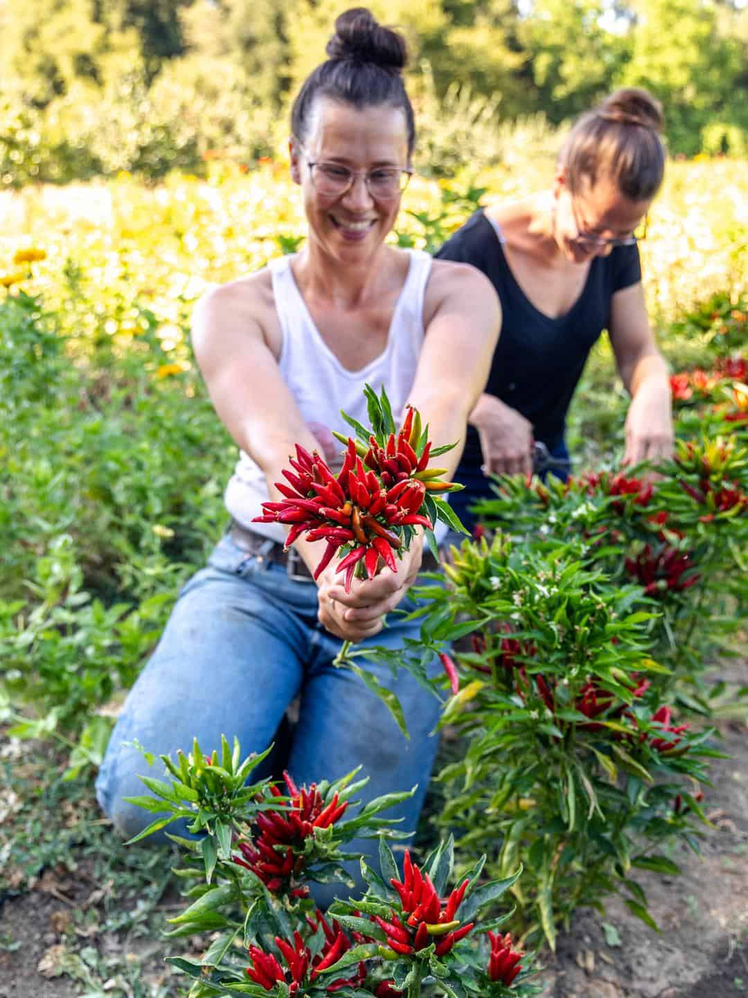 Ali holding a handful of peppers at Good Humus