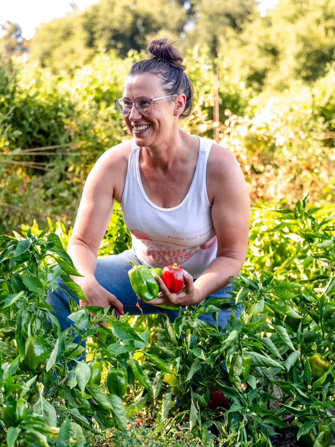 Ali Main Harvesting peppers at Good Humus