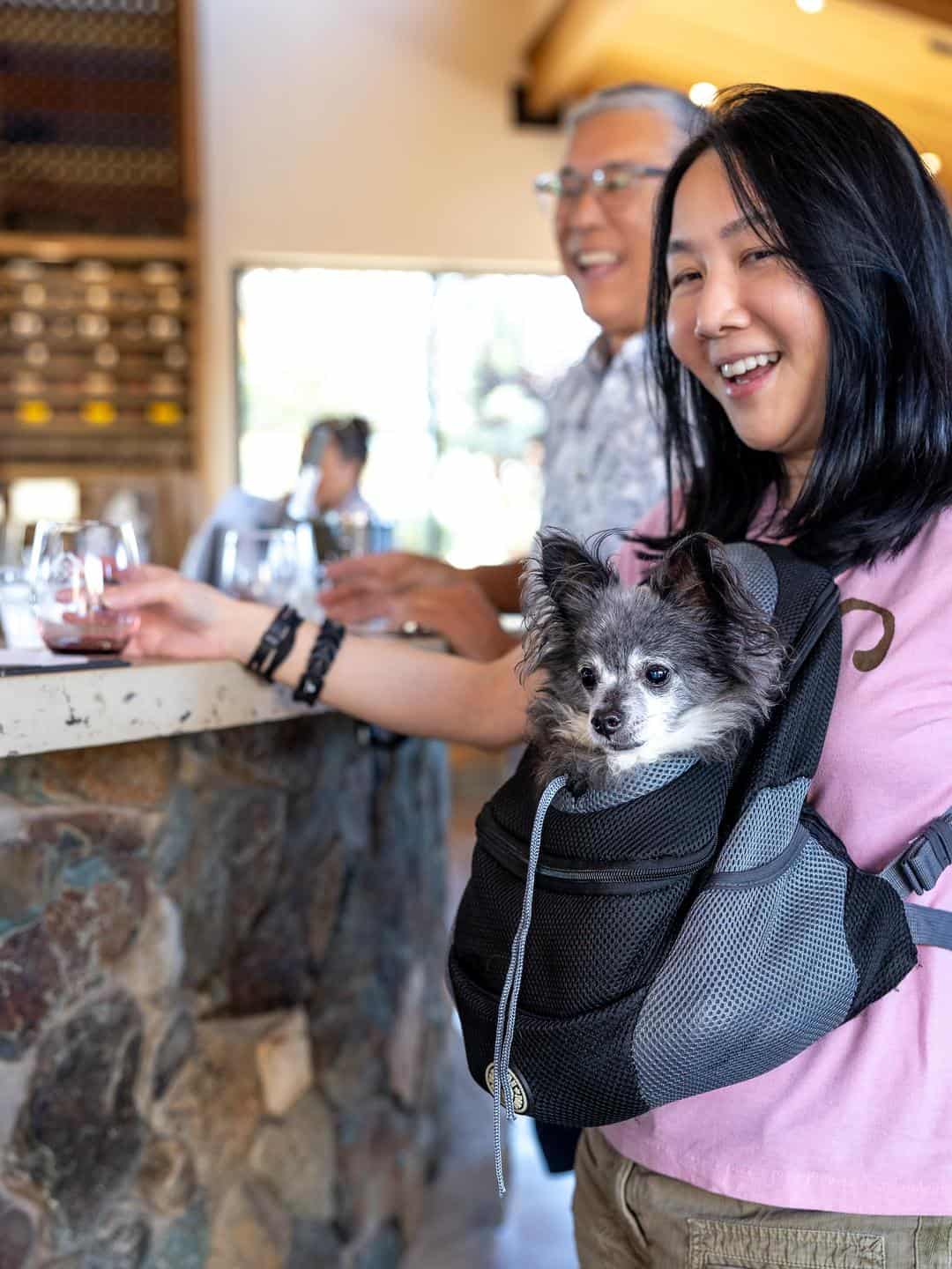 Michael David Winery is pet friendly