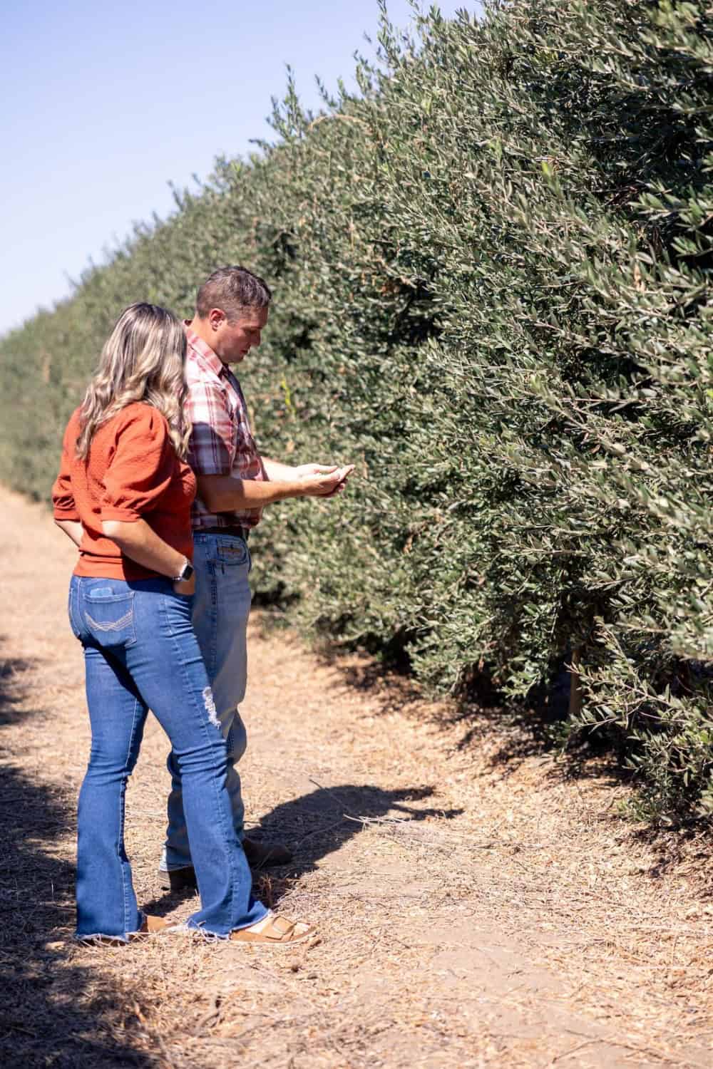 Mike and Julie Coldani walking through their olive orchards