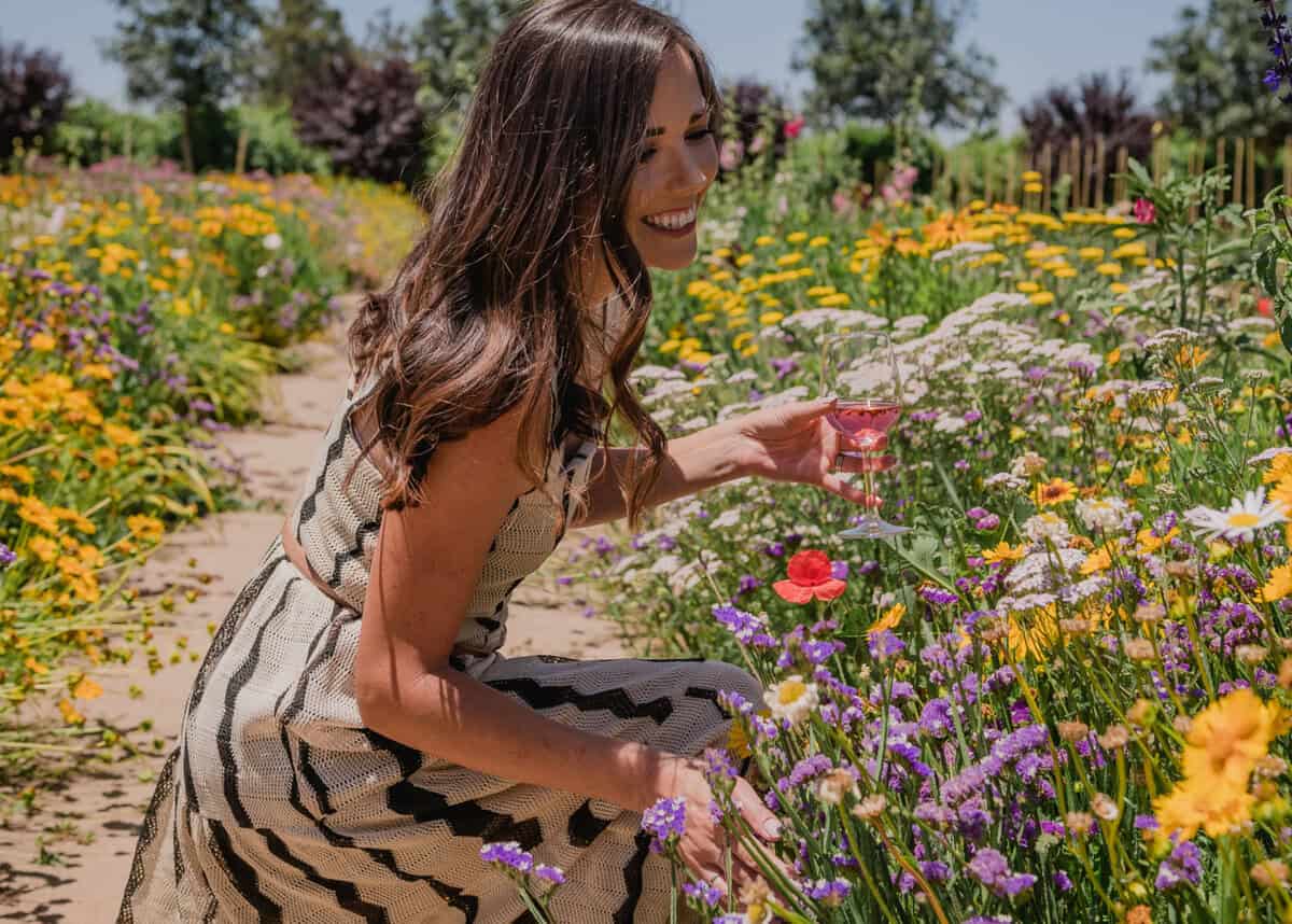 pollinator gardens at Michael David Winery