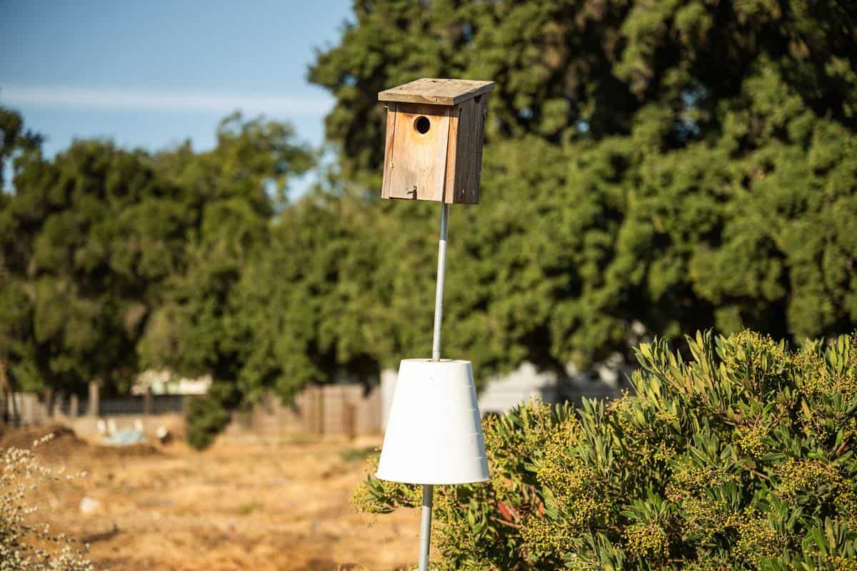 Owl box in a field at the center for land based learning