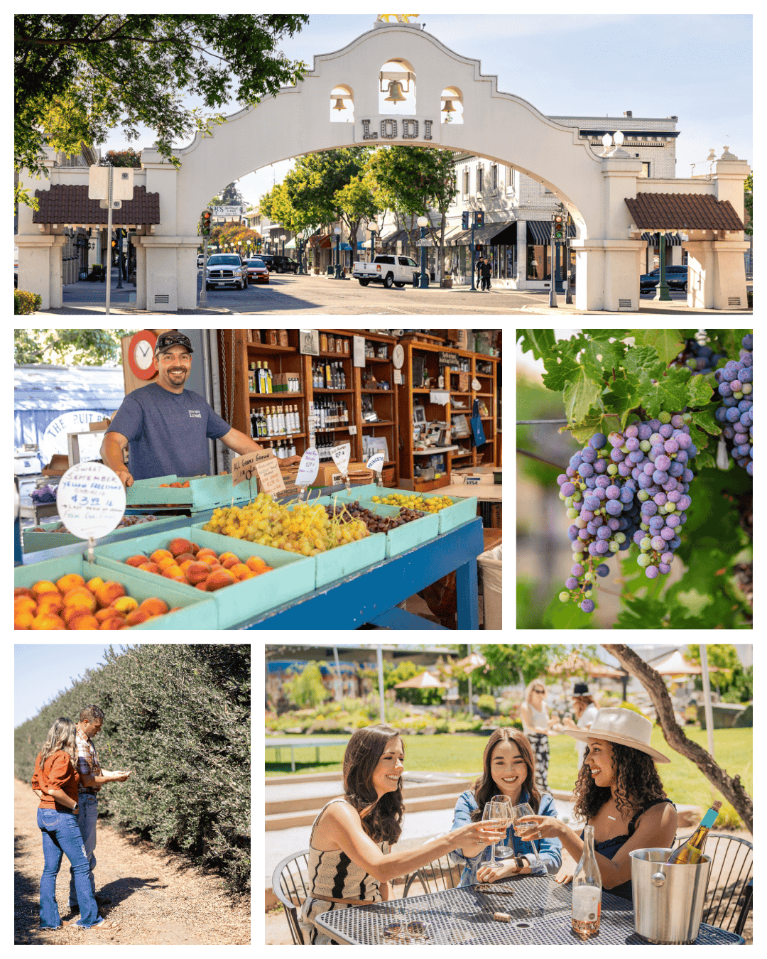 Lodi: Your New Favorite Agritourism Destination