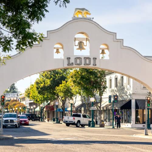 Lodi: Your New Favorite Agritourism Destination