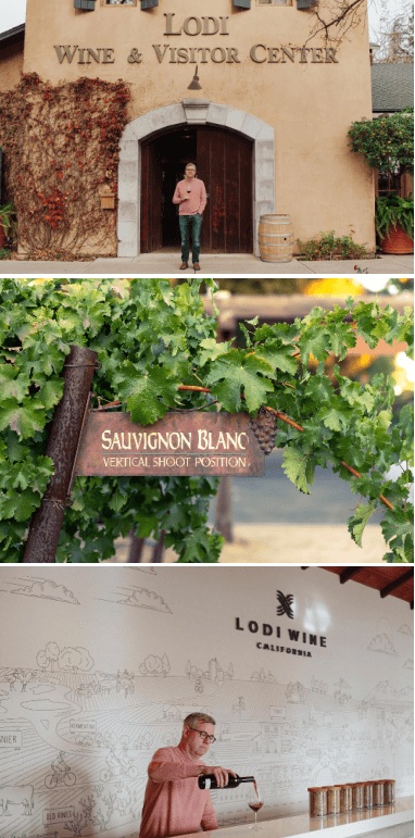 lodi wine and visitor center collage