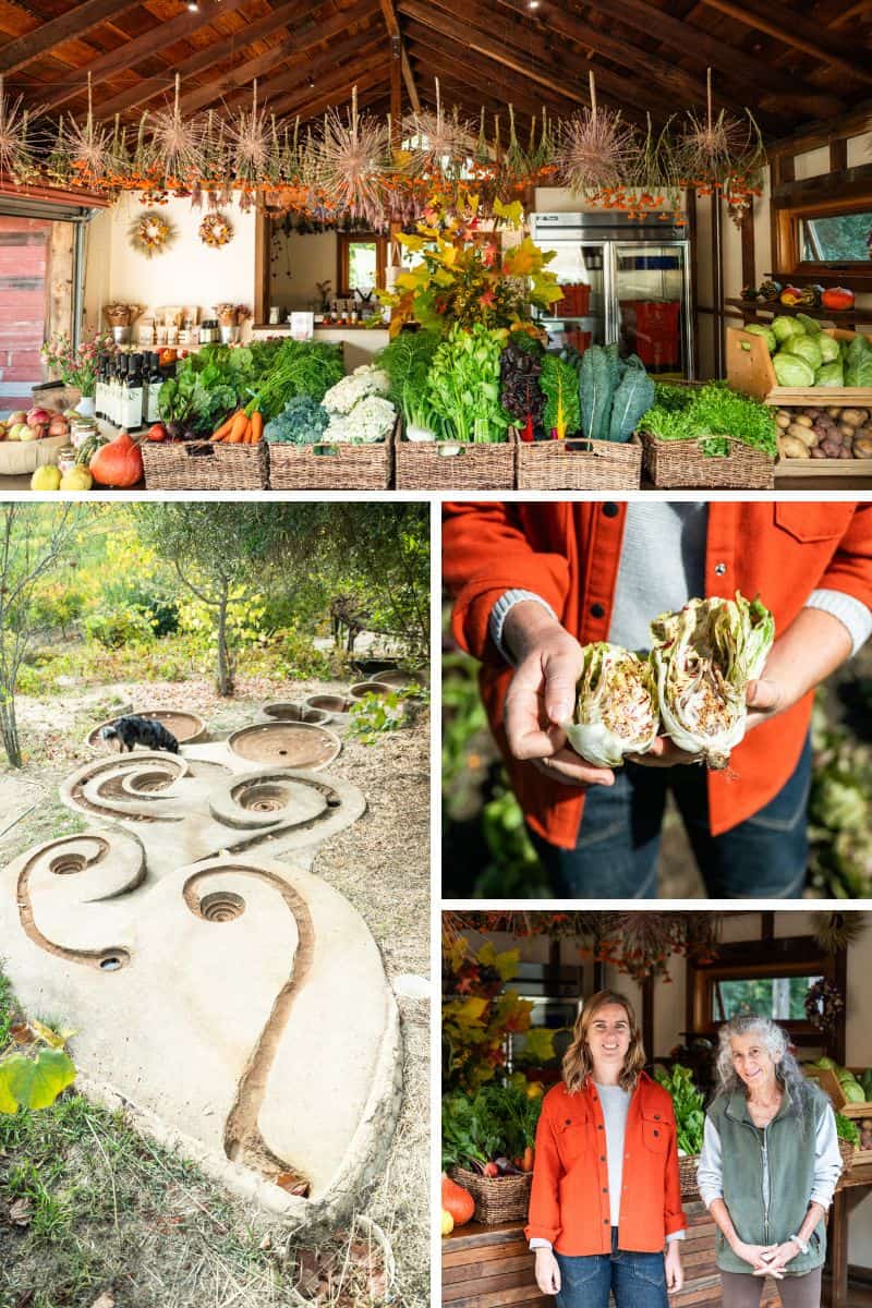 Holistic Agriculture Practices at Filigreen Biodynamic Farm