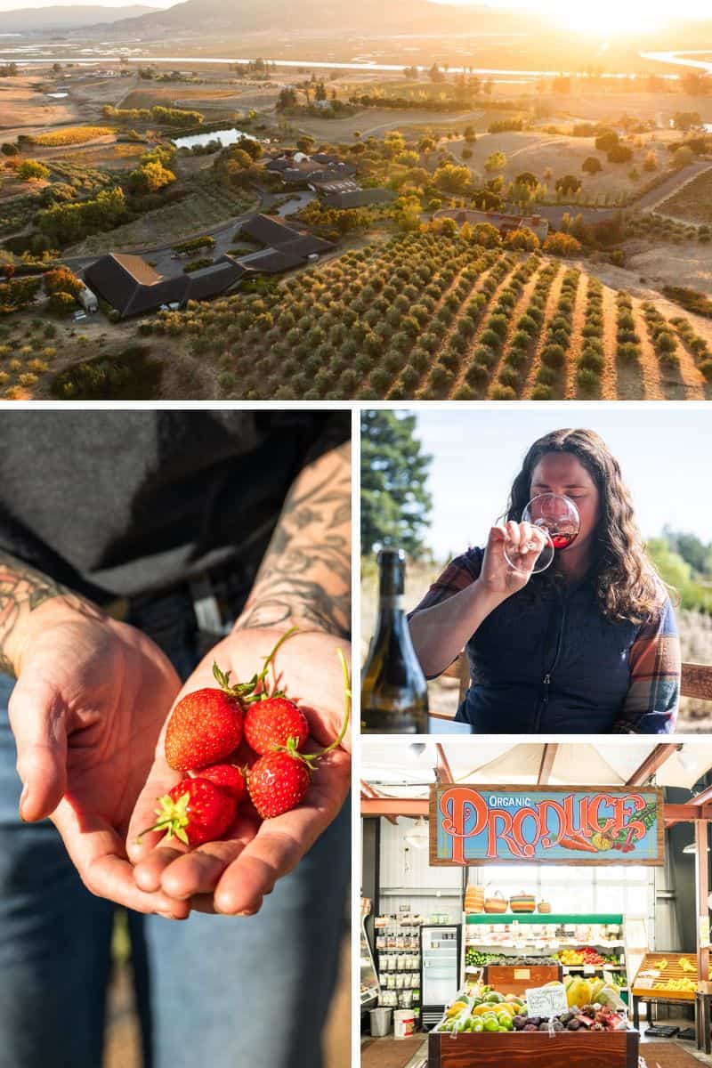 A look at Wine Country, the Food & Farms of Sonoma County