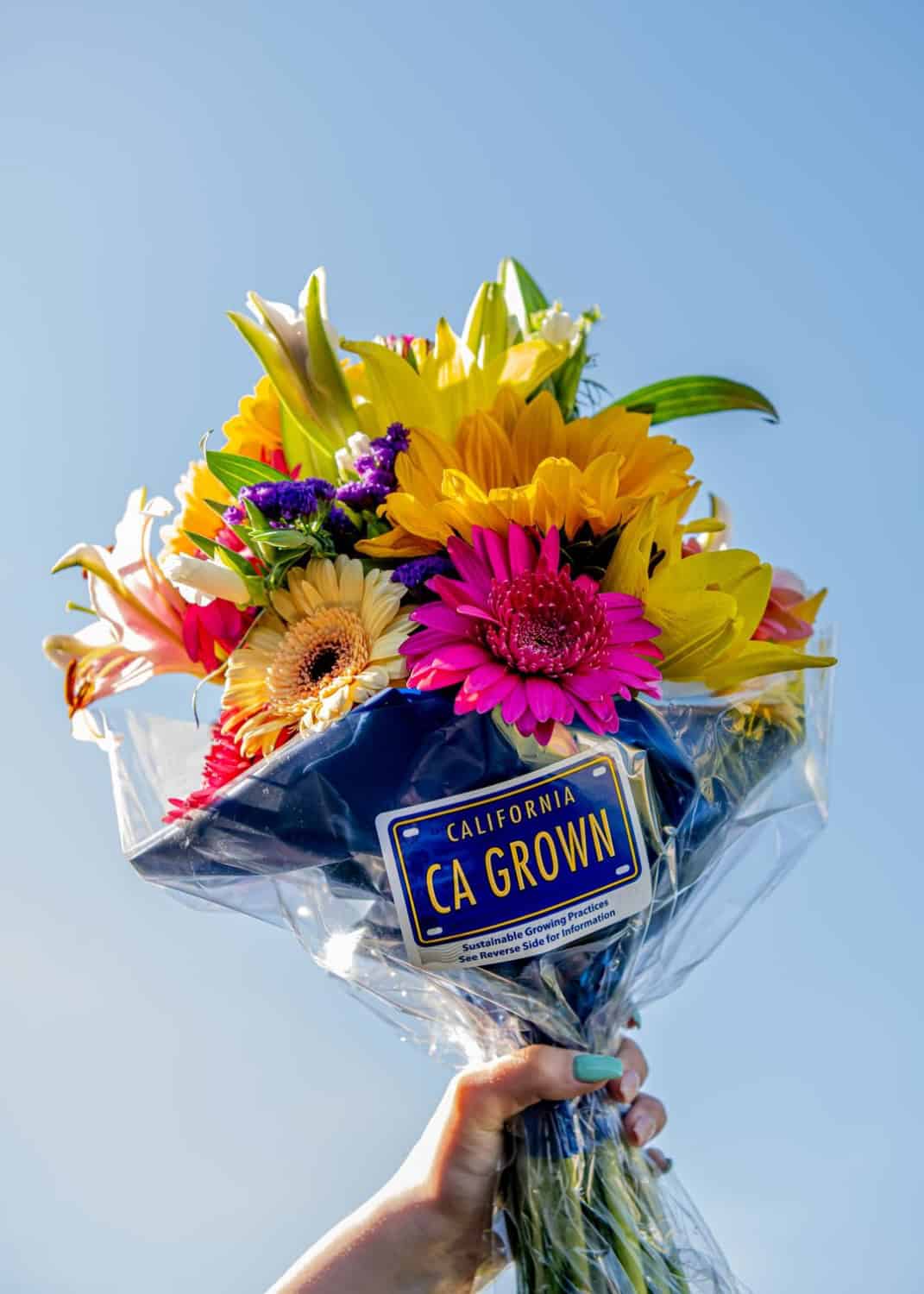 retail flower bouquet in wrap with CA GROWN license plate logo