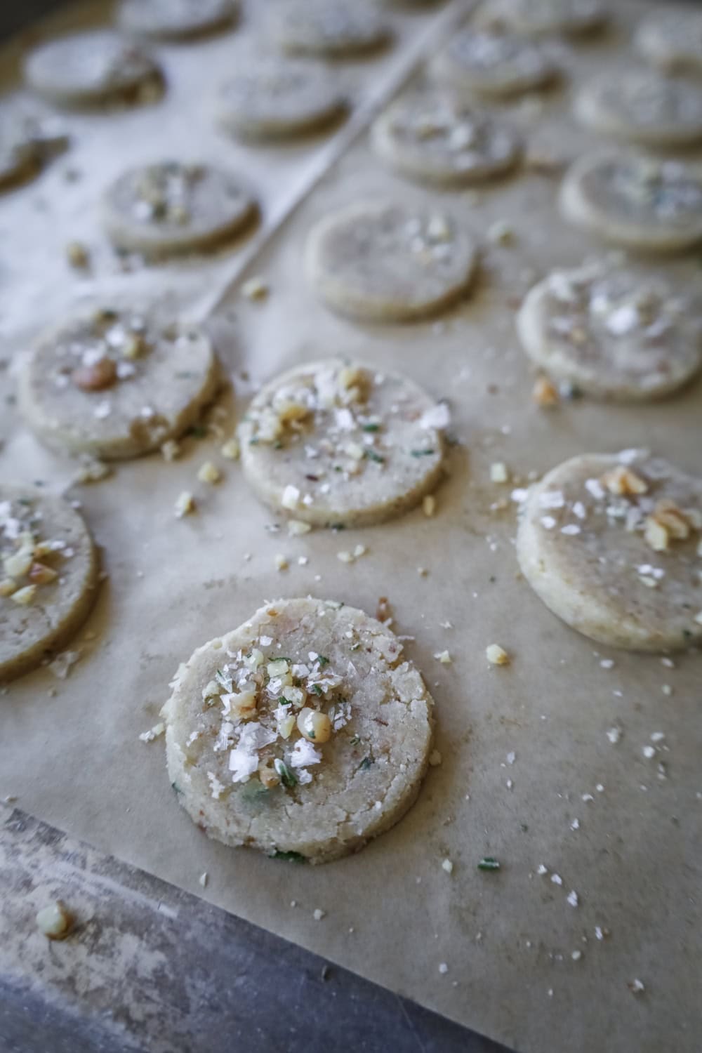 homemade crackers on parchment on a baking sheet before they are baked