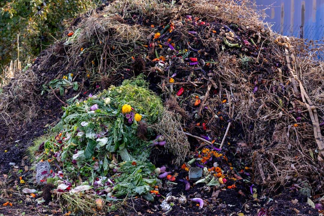 compost pile to help enrich soil at Burns Blossom Farm