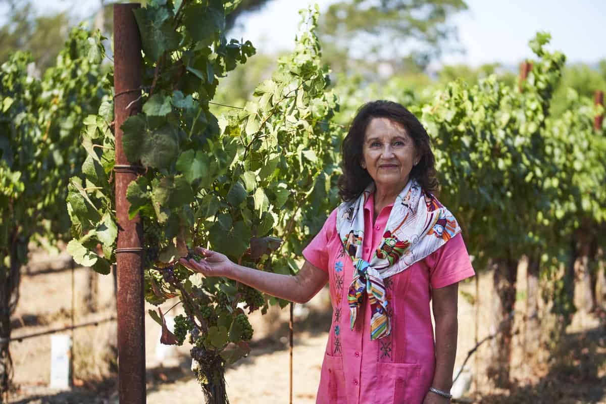 Amelia Ceja: Pioneering Diversity and Flavor in California Wine