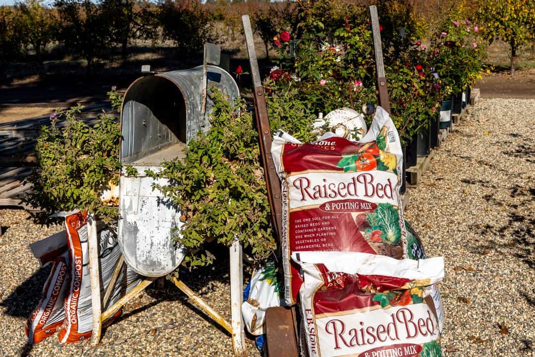 Raised bed soil at Felicia's Live Oak farm