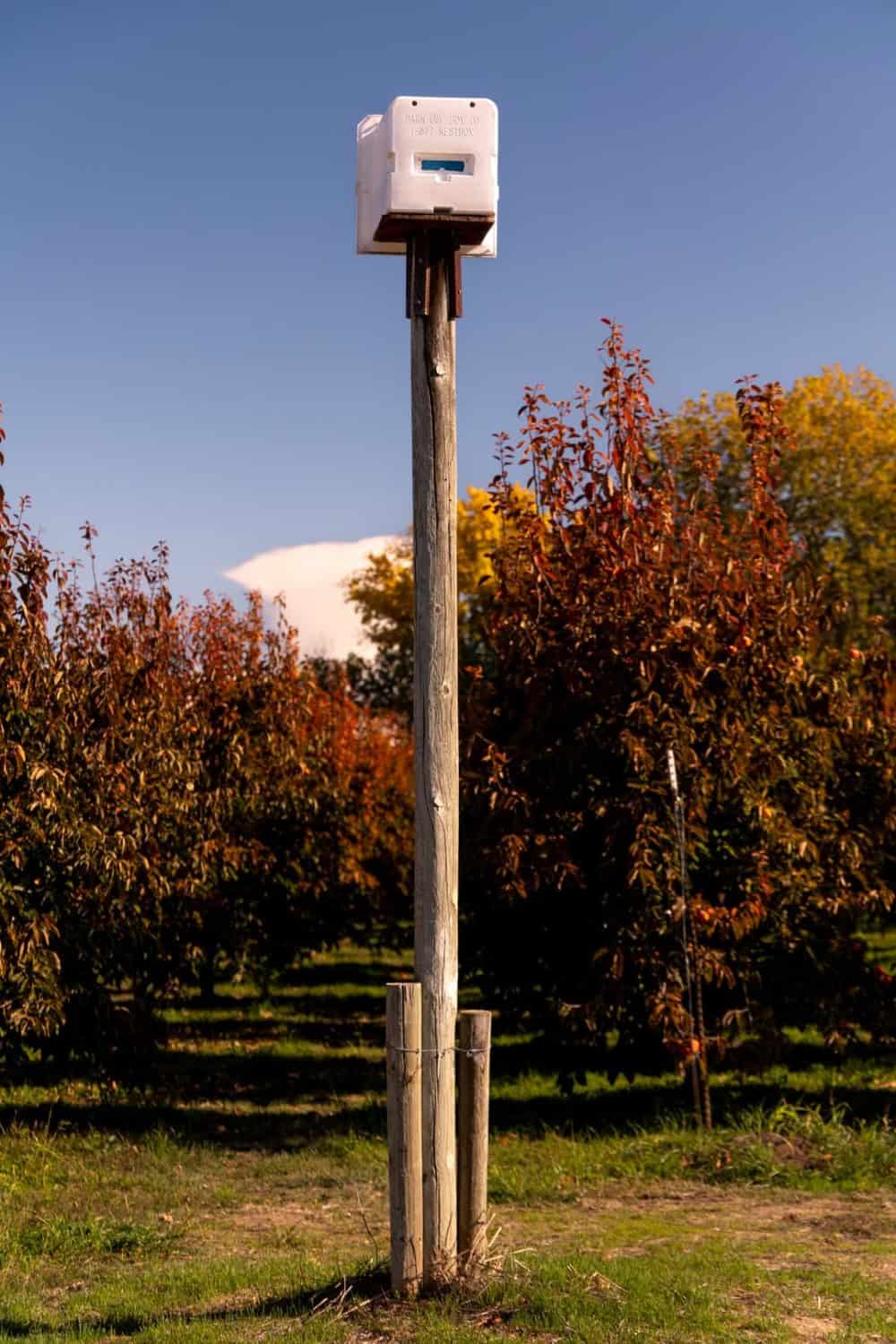 bird boxes are part of the sustainability efforts at Wild River Fruit