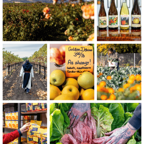 The Ultimate Agritourism Guide To Butte County And Beyond
