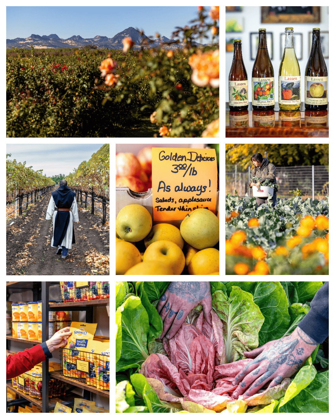 The Ultimate Agritourism Guide To Butte County And Beyond