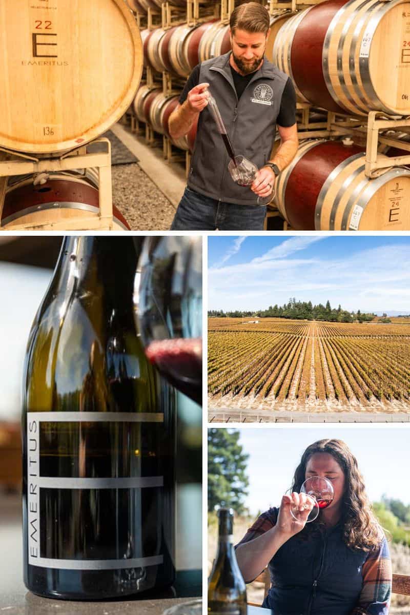 Emeritus Vineyards: A Journey into Sonoma’s Pinot Noir Paradise