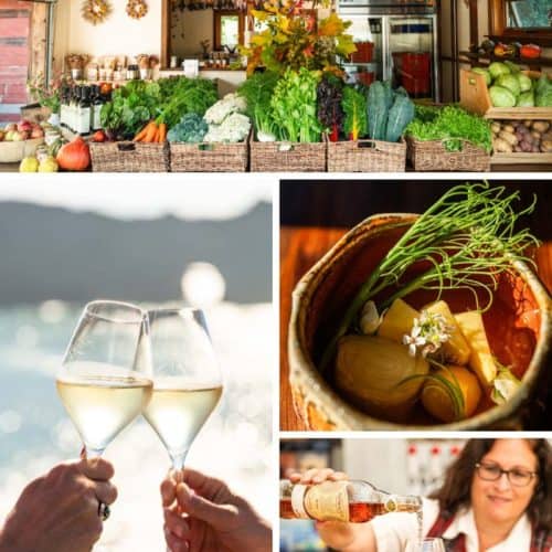 Things to Do in Mendocino For Food And Wine Lovers