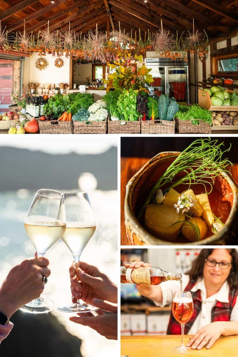 Things to Do in Mendocino For Food And Wine Lovers