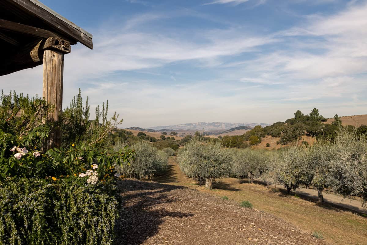 One of the original structures at McEvoy Ranch