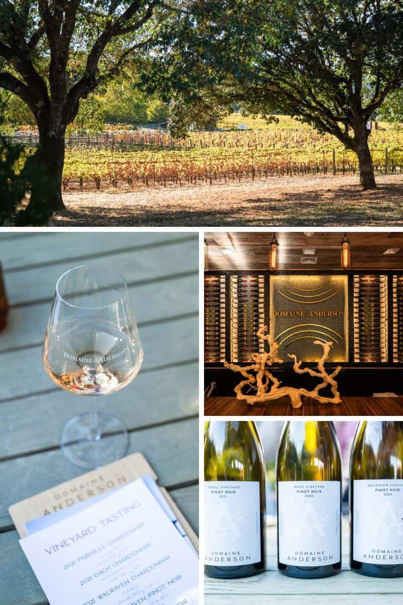 Collage of images of Domaine Anderson.