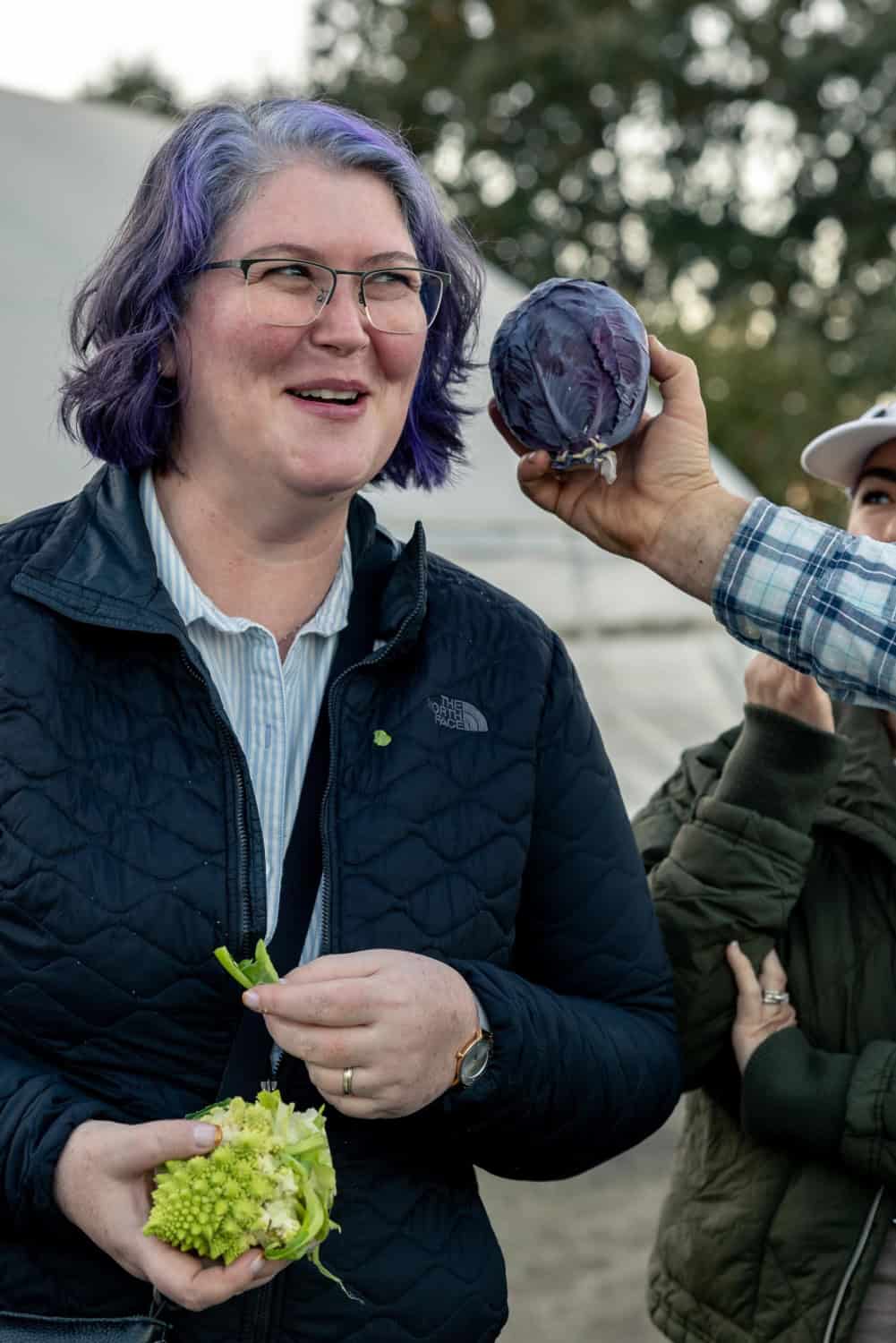 Purple Radicchio at Long Meadow Ranch Culinary Garden