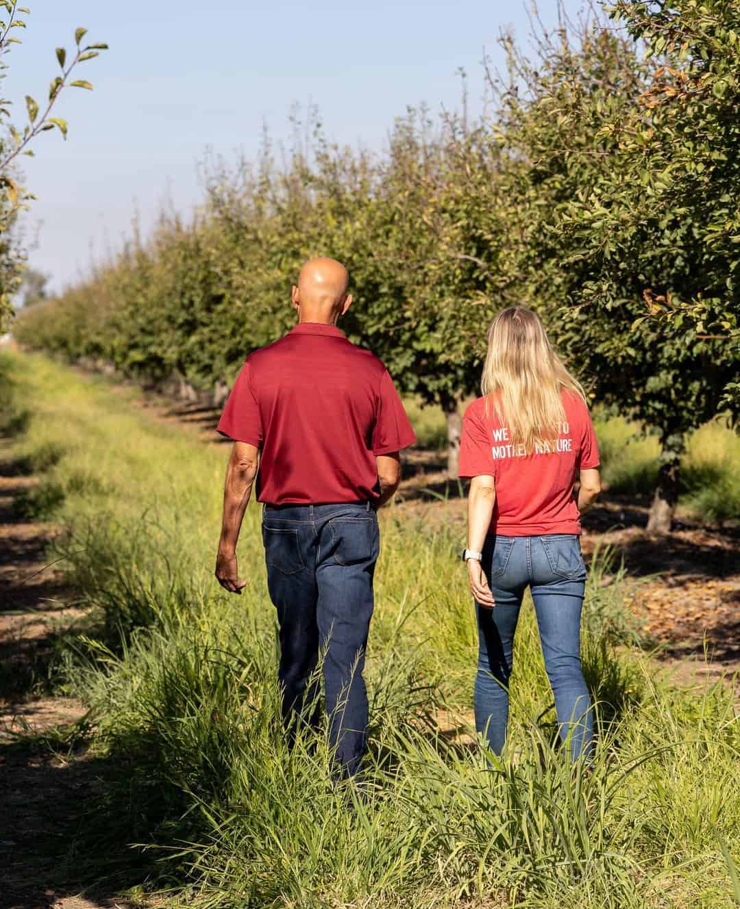 Farmers walking through the orchard in Yuba City