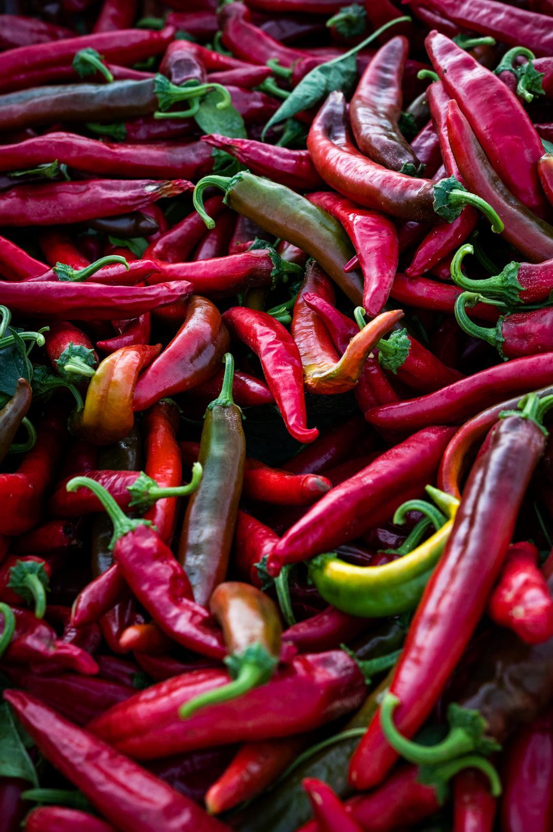 Boonville Barn Chiles are used to make salami at Fatted Calf