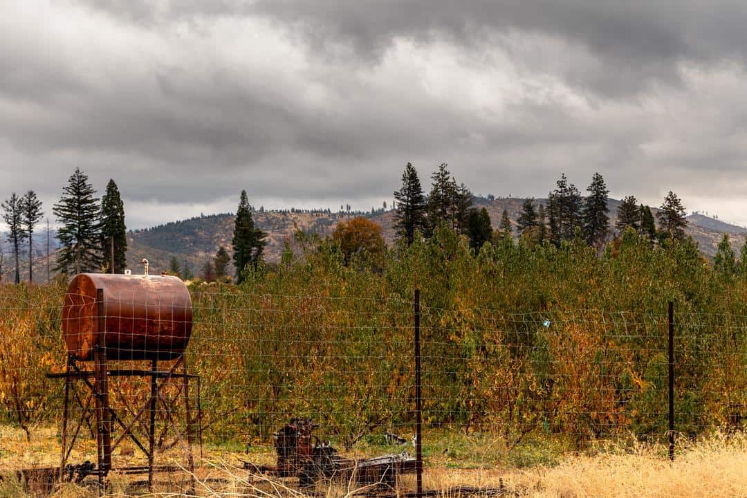 Noble Orchards has a unique location that's particularly well suited to apple growing