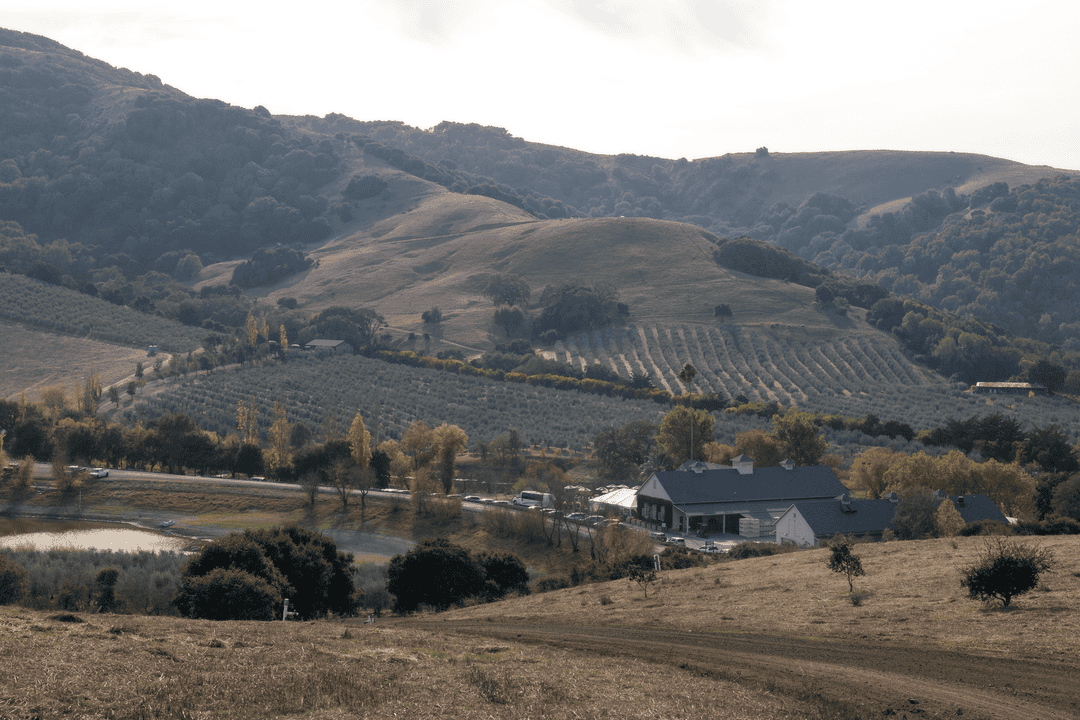 McEvoy Ranch view from the top of the hill