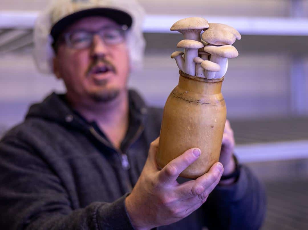 Justin Reyes holding a jar of mushrooms 