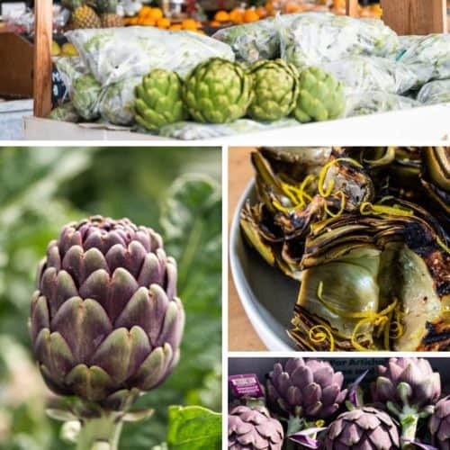 Are Artichokes Good For You?
