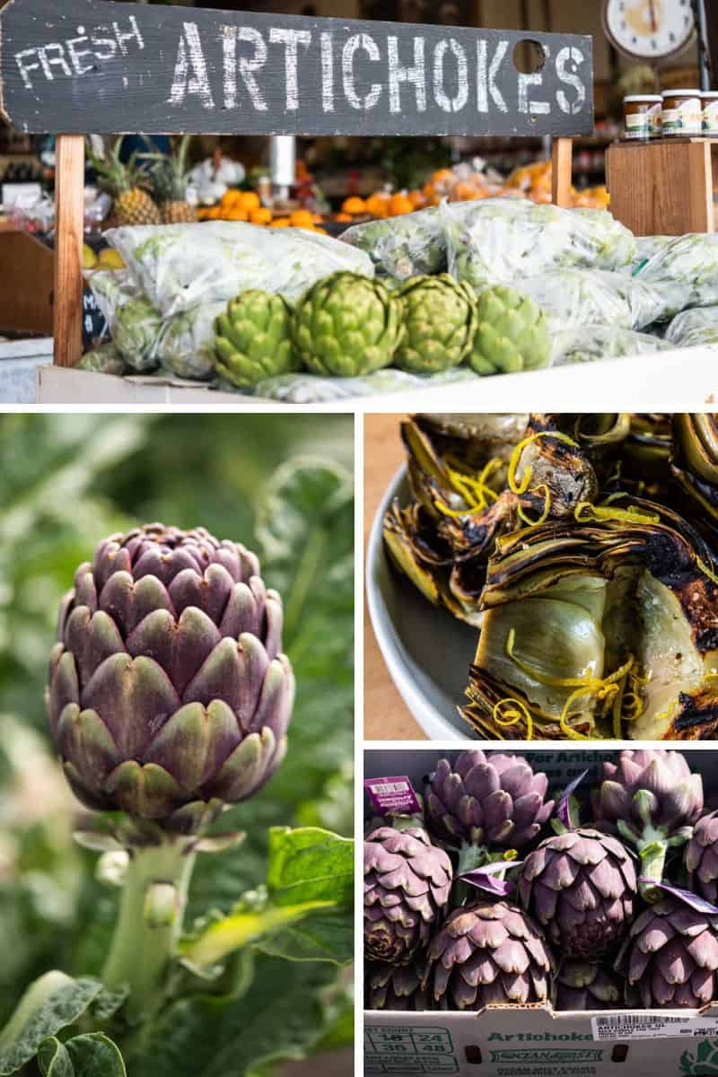 Are Artichokes Good For You?
