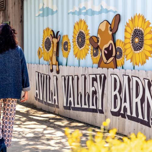 Avila Valley Barn: Farm-Fresh Snacks and Family Fun