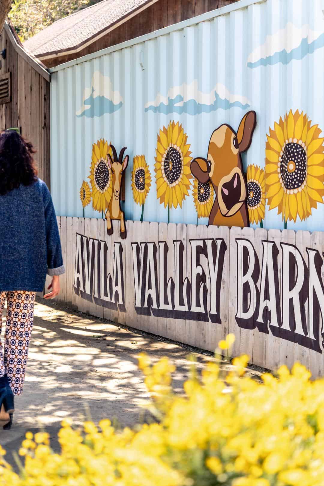 Avila Valley Barn: Farm-Fresh Snacks and Family Fun