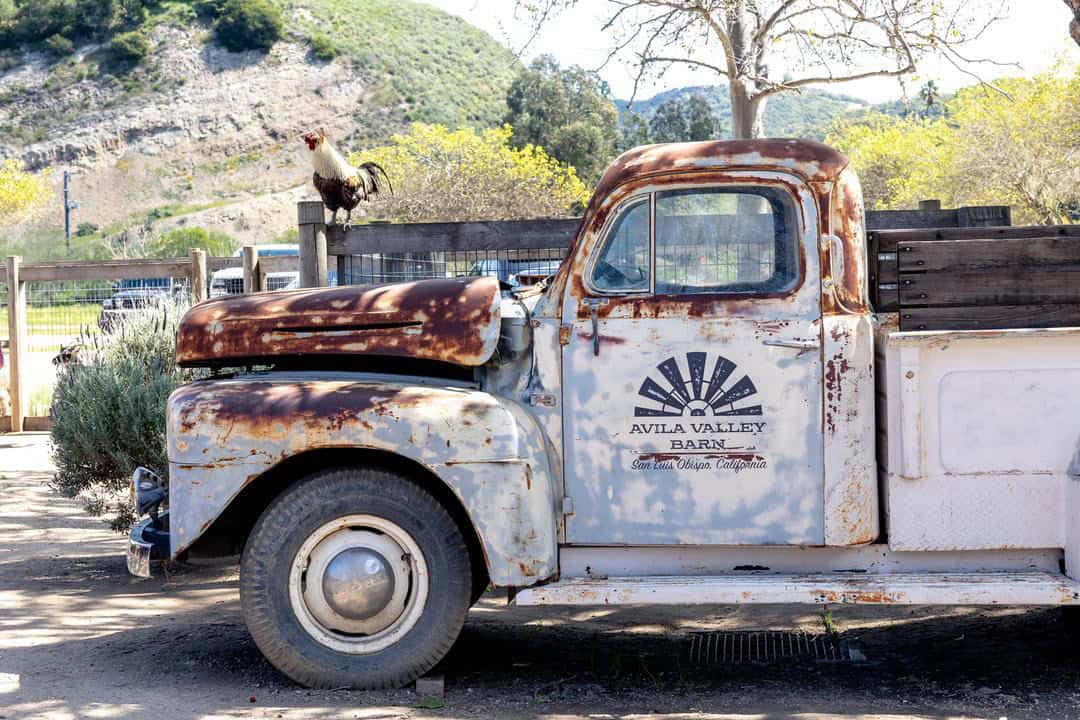 An old truck at Avila Valley Barn