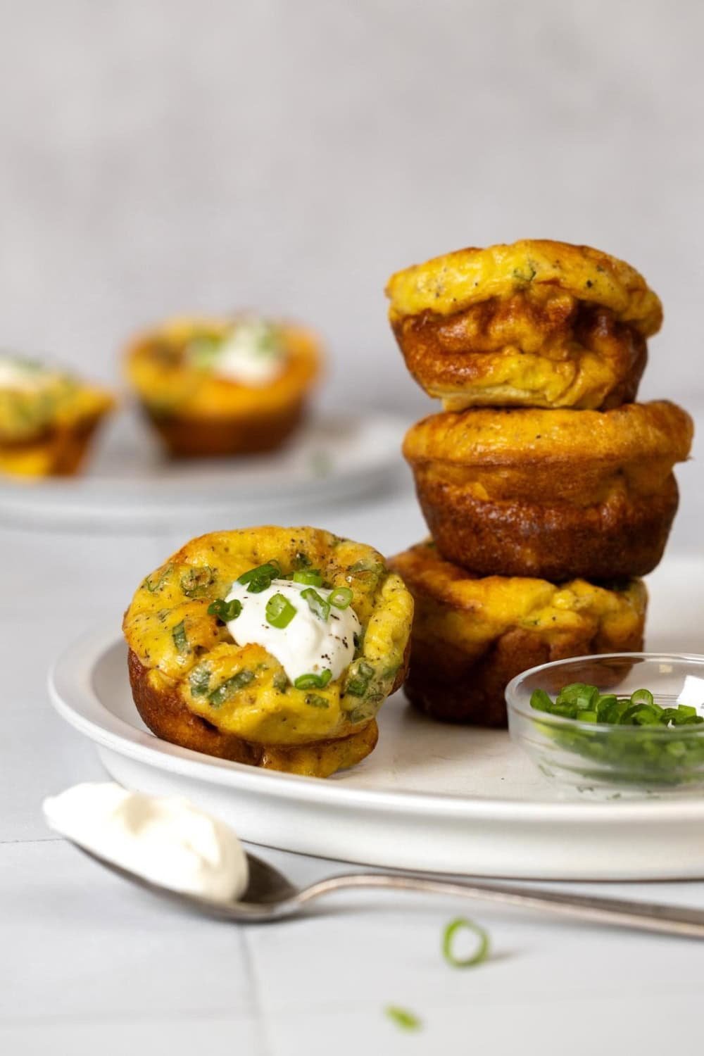 Sour Cream and Onion Protein Muffins